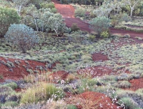 Indigenous-Led Research Project Wins Australia’s “A New Way Forward” Award (2026)