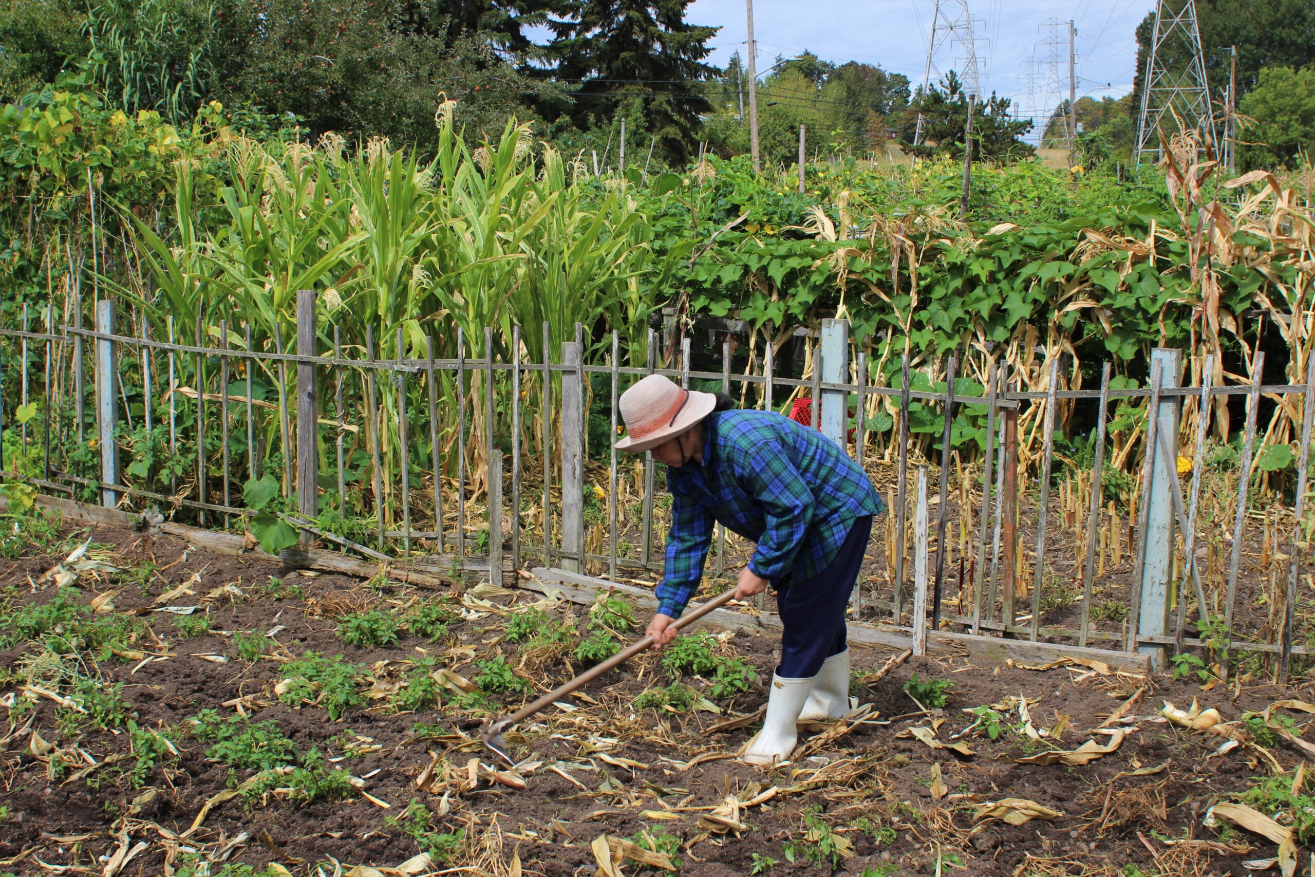 ‘If I have land, I feed my family’ – refugee resettlement through community gardening in Seattle