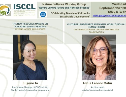 NC Webinar Celebrating a Decade of Culture for Sustainable Development