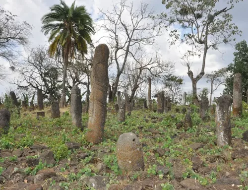 The Gedeo Cultural Landscape in Ethiopia