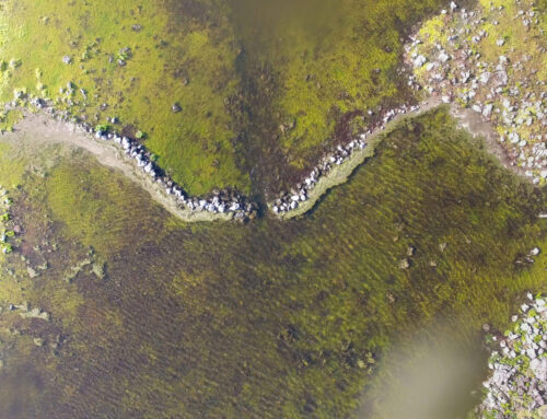 Australia: Budj Bim Cultural Landscape